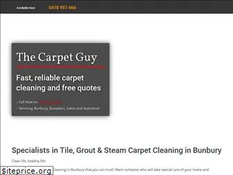 thecarpetguy.net.au