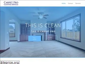 thecarpetpro.com