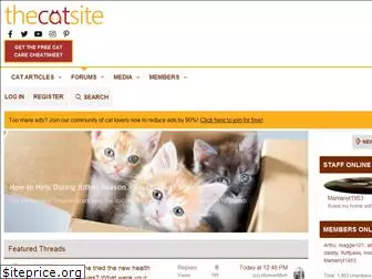 thecatsite.com