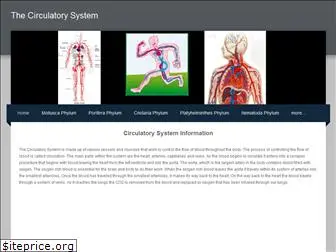 thecirculatorysys.weebly.com