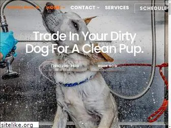 thecleanpup.com