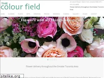 thecolourfield.com