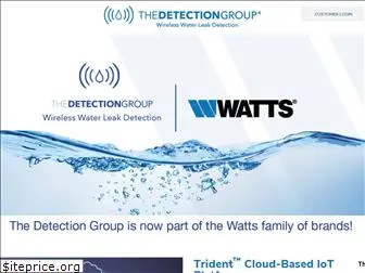 thedetectiongroup.com