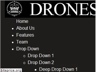 thedrones.in