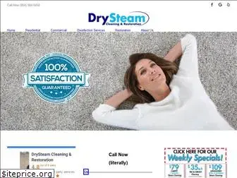 thedrysteam.com