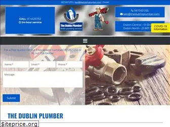 thedublinplumber.com