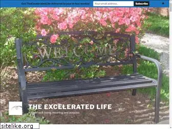 theexceleratedlife.com