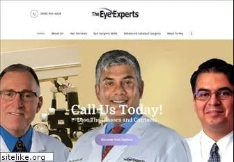 theeyeexperts.com