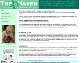 thehavenonline.org