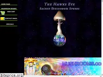 thehawkseye.com