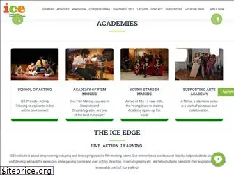 theiceinstitute.com