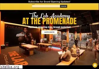 thelabacademy.org