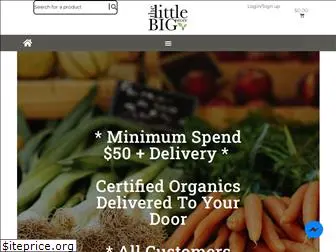 thelittlebigstore.com.au