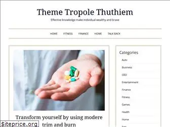 themetropole-thuthiem.com