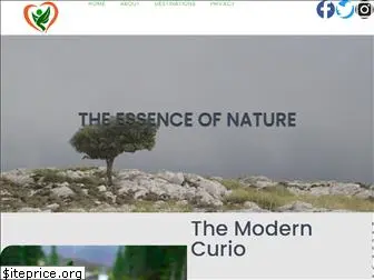 themoderncurio.com