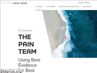 thepainteam.com