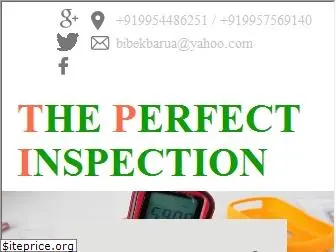 theperfectinspection.com