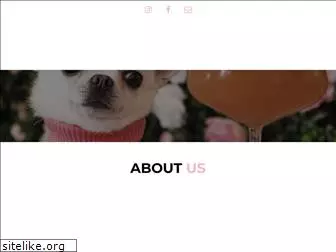 thepetsagency.com