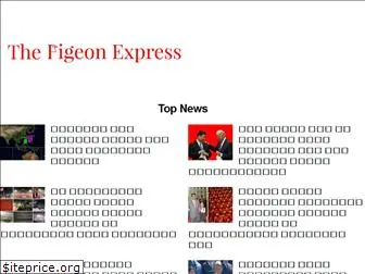 thepigeonexpress.com