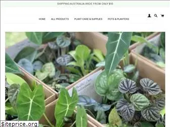 theplantroomtas.com.au