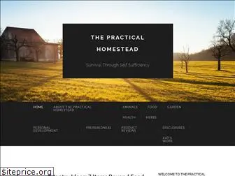 thepracticalhomestead.com