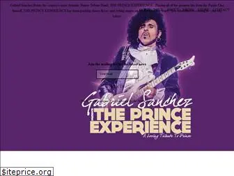 theprinceexperience.com