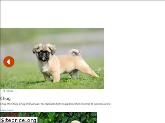 thepugplanet.com