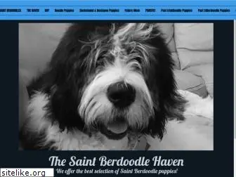 thesaintberdoodlehaven.com