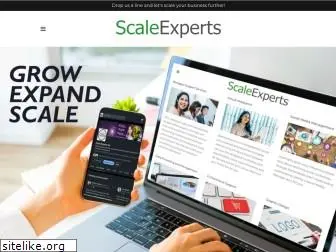 thescaleexperts.com