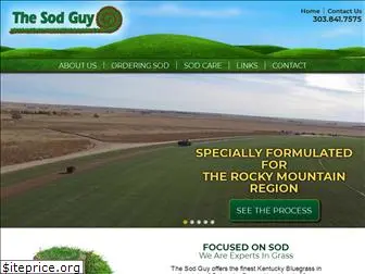 thesodguy.com