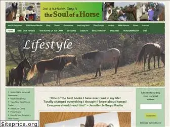 thesoulofahorse.com