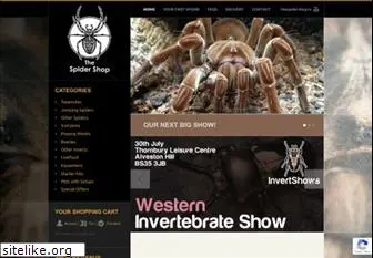 thespidershop.co.uk