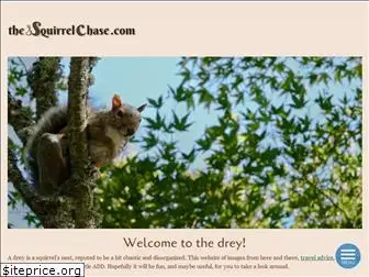 thesquirrelchase.com