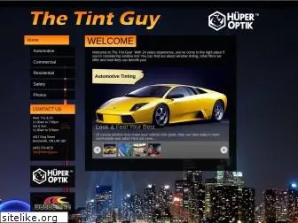 thetintguy.ca