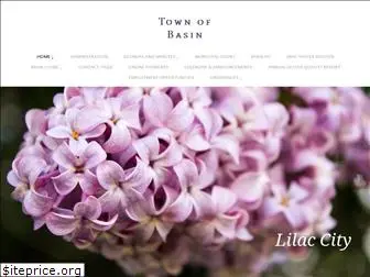 thetownofbasin.com