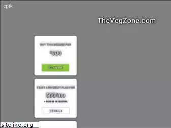 thevegzone.com