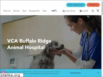 thevillagesanimalhospital.com