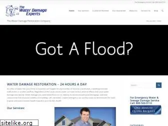 thewaterdamageexperts.com