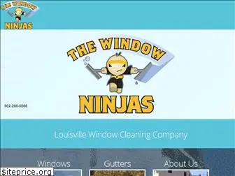 thewindowninjas.com