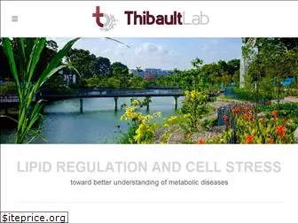 thibaultlab.com