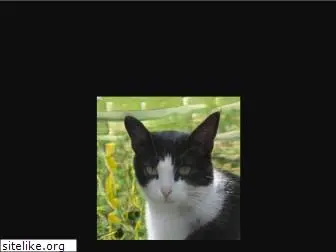 thiscatdoesnotexist.com