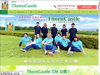 thorn-castle.com