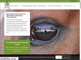 thoroughbred-horses-for-sale.com