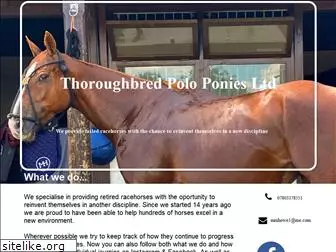 thoroughbred-poloponies.com