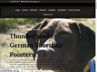 thunderheadgsps.com