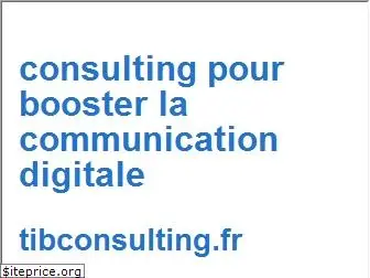 tibconsulting.fr