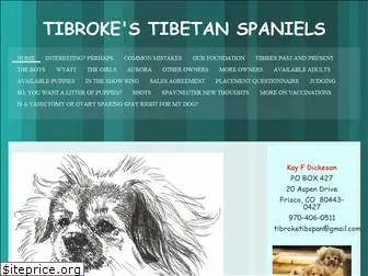 tibroke.com