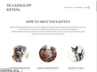 ticakinkalowkittens.com