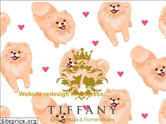 tiffany-chihuahuas.com