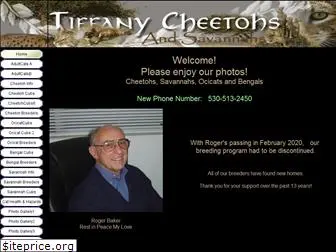 tiffanycheetohs.com